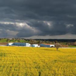 Devlet destekli &uuml;retim! &Ccedil;ift&ccedil;ilerin y&uuml;z&uuml; g&uuml;l&uuml;yor