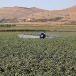 G&uuml;bre ithalatında g&uuml;mr&uuml;k vergisi sıfırlandı