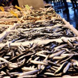 Hamsi vatandaşı g&uuml;ld&uuml;rd&uuml;, tezgahın kralı değişti