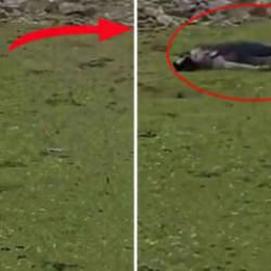 İsrail baskın d&uuml;zenleyip sivilleri vurdu: Ne İran ne L&uuml;bnan!