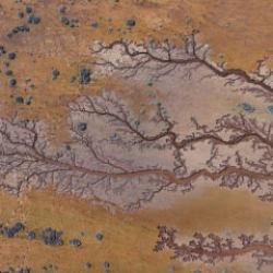 Kendiliğinden oluşan hayat ağacı! Kayseri&rsquo;de g&ouml;l havzasında ilgin&ccedil; g&ouml;r&uuml;nt&uuml;ler