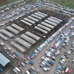 'Koyun fiyatları 18 ile 22 bin lira arasında değişiyor'