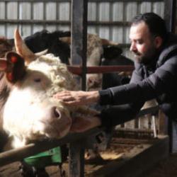 Kurbanlıkta erken rezervasyon d&ouml;nemi: &Ccedil;iftliklerde hareketlilik başladı