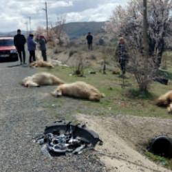 Otomobil koyun s&uuml;r&uuml;s&uuml;ne daldı: 9 koyun telef oldu 