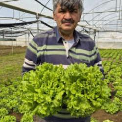 Tarlada 15, tezgahta 100 TL! Fiyatlardaki aracı" vurgununa isyan