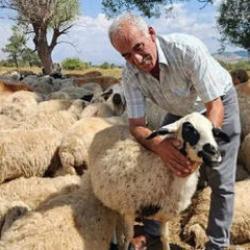 120 bin liraya &ccedil;alışacak iş&ccedil;i bulamıyorlar! Yeni nesil bu sekt&ouml;re yanaşmıyor