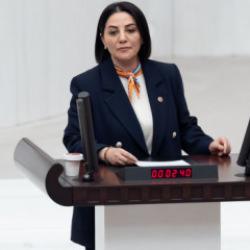 AK Parti Milletvekili Şeng&uuml;l Karslı&rsquo;dan TBMM&rsquo;de tarihi &ccedil;ıkış!