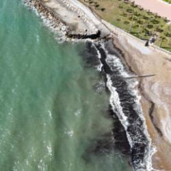 Alanya&rsquo;da sahildeki siyah tabaka &ouml;nce tedirgin etti, ger&ccedil;ek sonradan ortaya &ccedil;ıktı