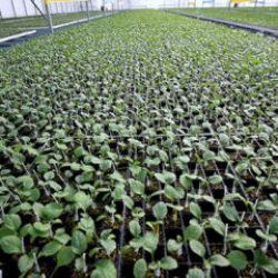 Arkadaş desteğiyle başlamıştı: Şimdi b&ouml;lgenin tedarik&ccedil;isi oldu!