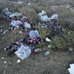 Bilecik'te ormanlık alana y&uuml;zlerce şişe bozuk şalgam suyu atıldı