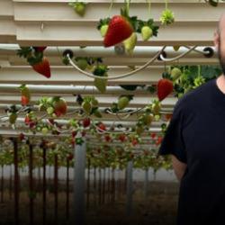 &Ccedil;ift&ccedil;iye ilham oldu! Almanya'da &ouml;ğrendi T&uuml;rkiye'de topraksız &uuml;retiyor