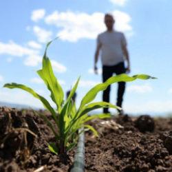 H&uuml;rm&uuml;z Boğazı kıskacında tarım: Savaş bitişse de maliyet baskısı s&uuml;recek