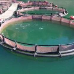 3,3 milyar TL'lik dev yatırım! TKDK hibeleriyle şehir şaha kalktı