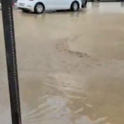 İzmir sağanak yağış sonrası yine suya g&ouml;m&uuml;ld&uuml;