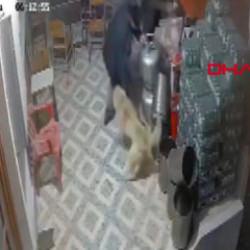 K&ouml;pek saldırısında parmağı koptu: O anlar kamerada