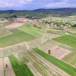 Pop&uuml;ler iller doydu, onlar şaha kalktı! İşte arsanın yeni yıldızları