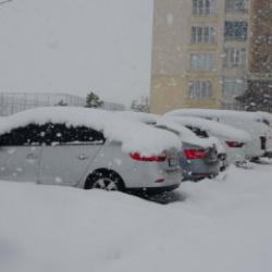 Bitlis'te lapa lapa kar yağışı: 82 k&ouml;y yolu ulaşıma kapandı