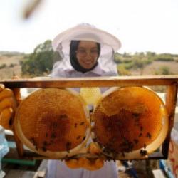 T&uuml;rk balı 31 &uuml;lkenin sofrasında