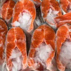 T&uuml;rk somonuna talep b&uuml;y&uuml;k! 91 milyon doları aştı