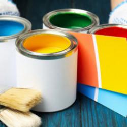 S&uuml;per lig kul&uuml;b&uuml;n&uuml;n başkanı T&uuml;rkiye'nin boyacılık devini satın aldı