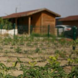 Uğraşı (hobi) bah&ccedil;eleri