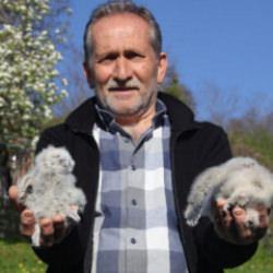 20 yıldır s&uuml;ren baykuşla &ccedil;ift&ccedil;inin dostluğu: Her bahar aynı ambara yuva yapıyorlar