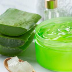 Aloe Vera Jeli: G&uuml;neşin Panzehiri