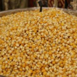 G&uuml;neydoğu Anadolu'dan 871 milyon dolarlık hububat ihracatı