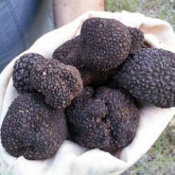 İtalya'yı bıraktı, serveti T&uuml;rkiye&rsquo;de buldu! kilosu 18 bin 500 TL!