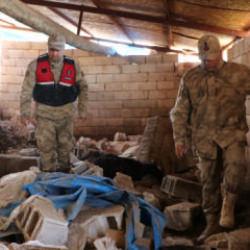 Kilis'te facia! 40 k&uuml;&ccedil;&uuml;kbaş telef oldu