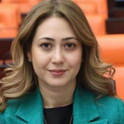 MHP'den devrim niteliğinde adım: 'Manevi Vatan' i&ccedil;in kanun teklifi