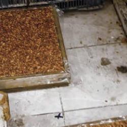 Mide bulandıran şartlarda lokum ve cezerye &uuml;retildiği ortaya &ccedil;ıktı