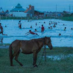 Sony D&uuml;nya Fotoğraf&ccedil;ılık &Ouml;d&uuml;lleri 2026: Genel kazananlar a&ccedil;ıklandı