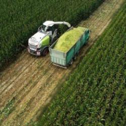 Tarım &Uuml;FE martta aylık bazda y&uuml;zde 3,85 arttı