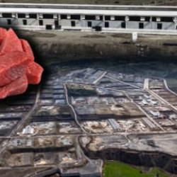 T&uuml;rkiye'nin yeni et &uuml;ss&uuml; olacak! Fiyatları d&uuml;ş&uuml;recek proje