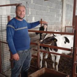 Adanalı besiciden ilgin&ccedil; y&ouml;ntem: İneklerin s&uuml;t verimini artırmak i&ccedil;in uyguluyor 