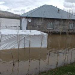 Ağrı'da sağanak yağış: Dereler taştı, evler ve tarım arazilerini su bastı!