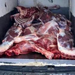 Aynı il değişmeyen skandal! Vatandaşa at ve eşek eti yedirdiler...