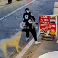 Başıboş k&ouml;pek dehşeti: Elinden ve kal&ccedil;asından ısırıldı