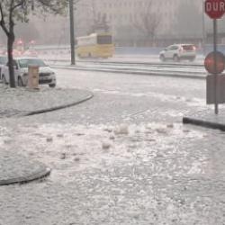 Ceviz b&uuml;y&uuml;kl&uuml;ğ&uuml;nde dolu! Dakikalar i&ccedil;inde hayat durdu