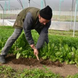 Devlet desteğiyle kurmuştu: Şimdi 7 kişilik ailesine bakıyor!