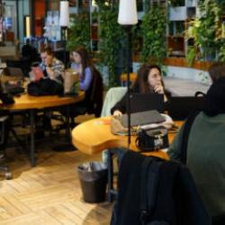 Girişimler ile kurumsal tecr&uuml;benin &ldquo;Kesişim&rdquo; noktası i&ccedil;in başvurular başladı