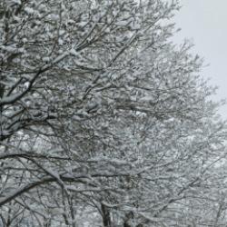 Nisan sonunda Uludağ&rsquo;da kış geri d&ouml;nd&uuml;