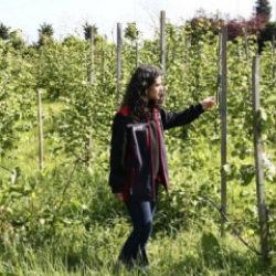 Orta ve Doğu Karadenizli &uuml;reticiler fındıkta iyi verim i&ccedil;in sahada