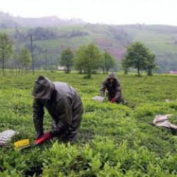 Kadro bekleyenlere m&uuml;jde! Binlerce personel i&ccedil;in sınır kaldırıldı