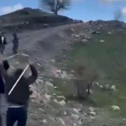 Şırnak'ta meydan muharebesi gibi kavga! &Ccedil;ıkan olaylarda 3 kişi tutuklandı