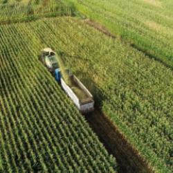 Tarımsal girdi fiyat endeksi şubatta arttı