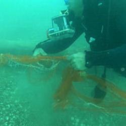 Temizlenen 'hayalet ağlar' ile 1,5 milyon deniz canlısı kurtarıldı 