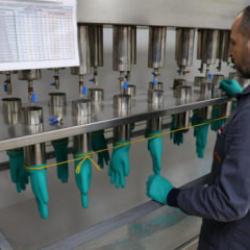 T&uuml;rkiye ithal ediyordu, ilk kez Sivas'ta &uuml;retildi