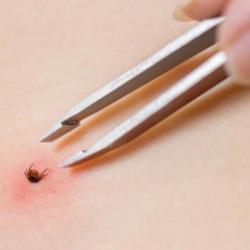 1 kişi hayatını kaybetmişti! Kabus devam ediyor: 2 kişi daha hastanede tedavi altında!